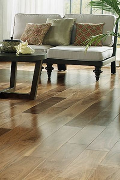 American Black Walnut 1