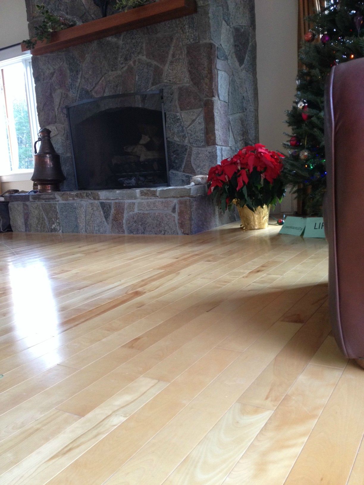 Yellow Birch Flooring 4