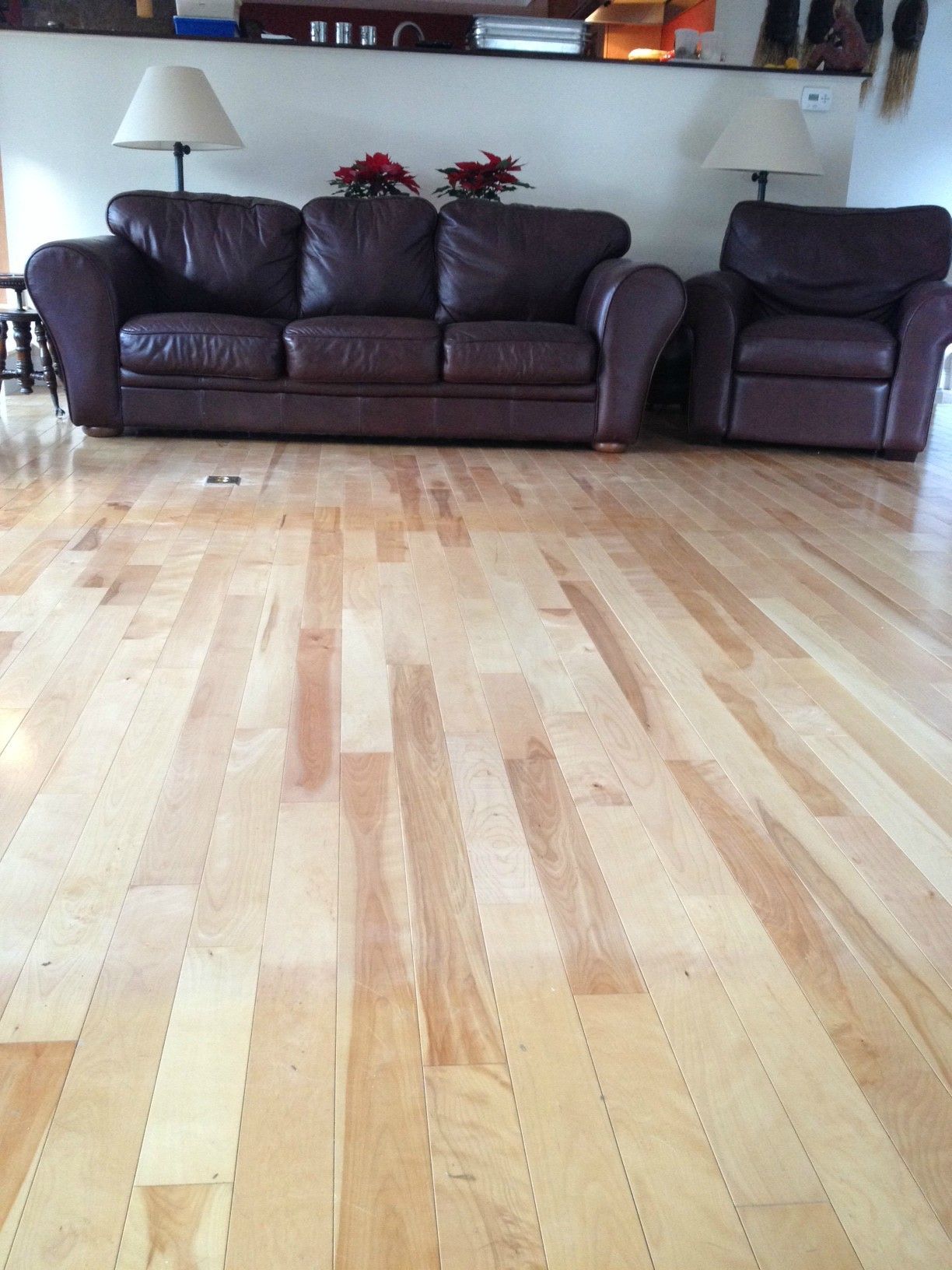 Yellow Birch Flooring 5