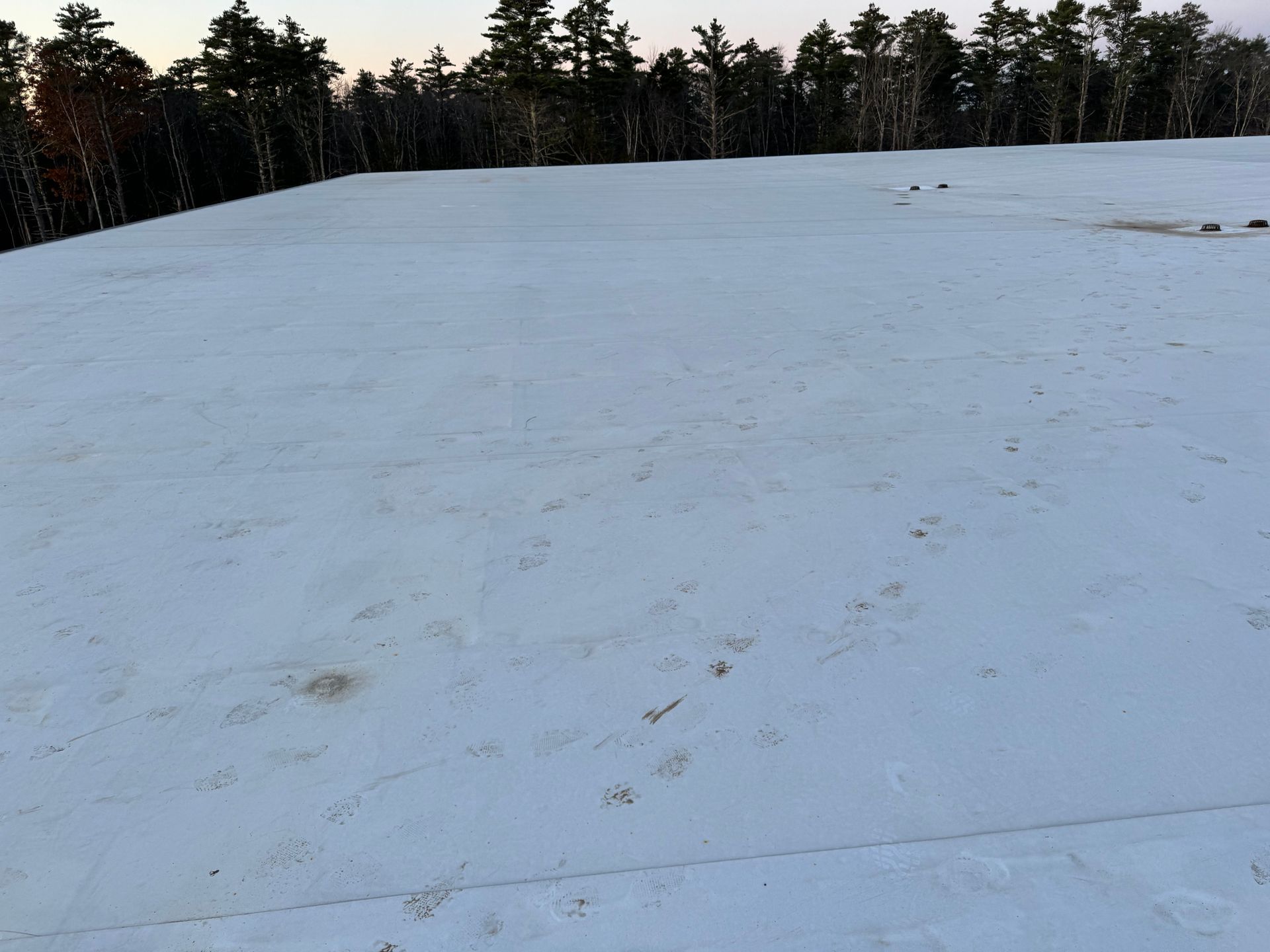 A snowy field with trees in the background.