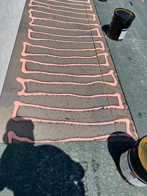 A row of pink lines on a sidewalk next to buckets of paint