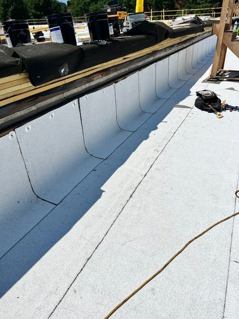 A white roof with a ladder in the background