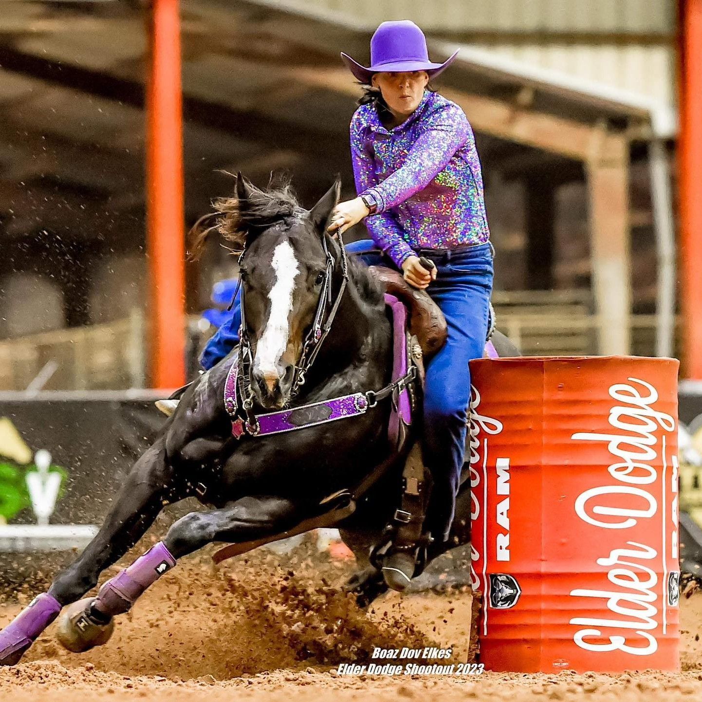 A woman is riding a black horse on a red barrel.