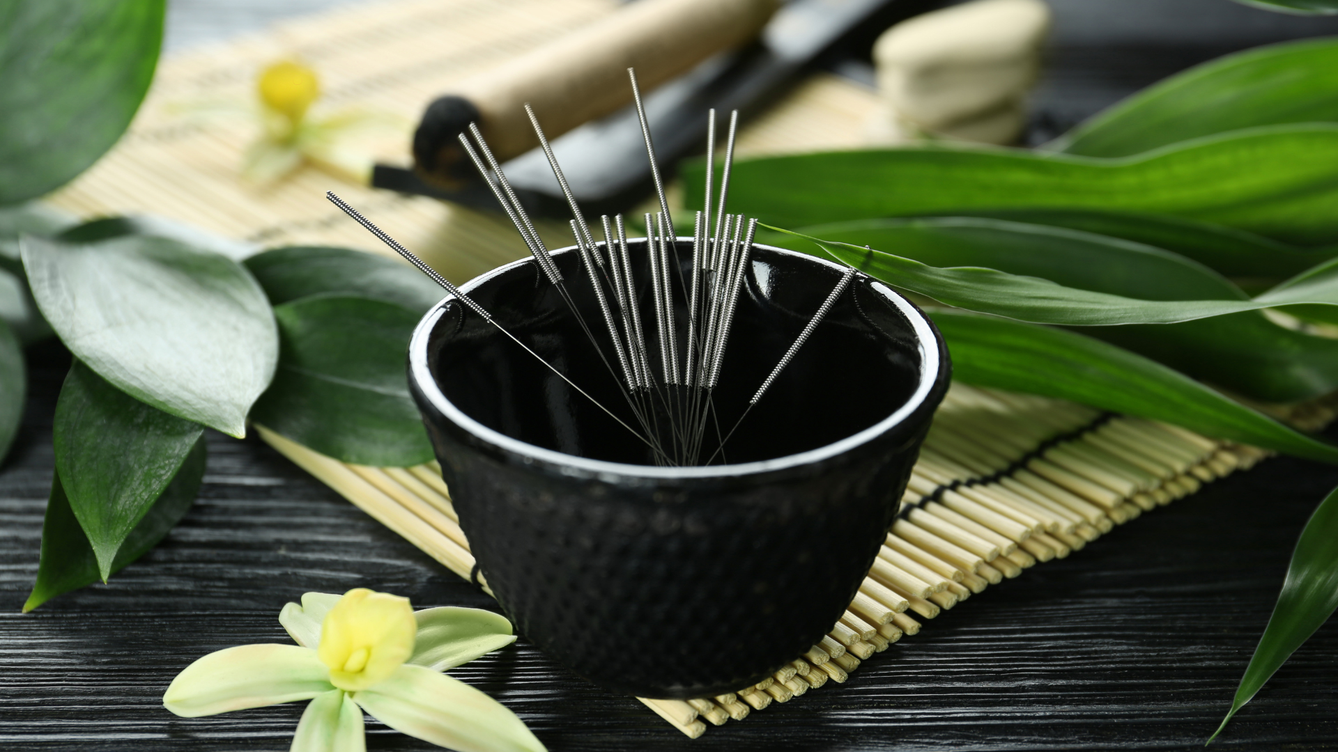 Close-up of acupuncture needles arranged in a black ceramic bowl surrounded by green leaves,