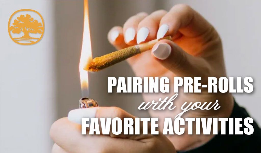 Pairing Infused Pre-Rolls with Your Favorite Activities: A Lifestyle Guide