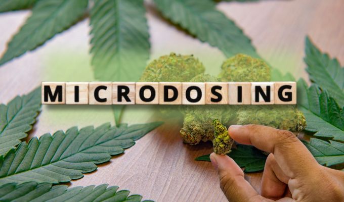 Microdosing Cannabis: Enhancing Creativity and Productivity