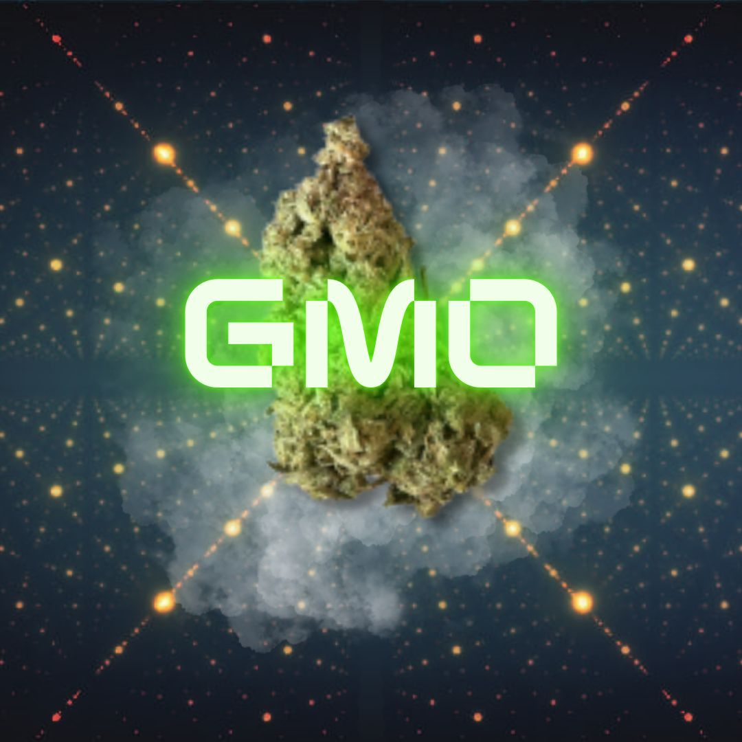 Smoakland&rsquo;s new strain &ldquo;GMO&rdquo; is perfect for a quiet Sunday afternoon or evening. 