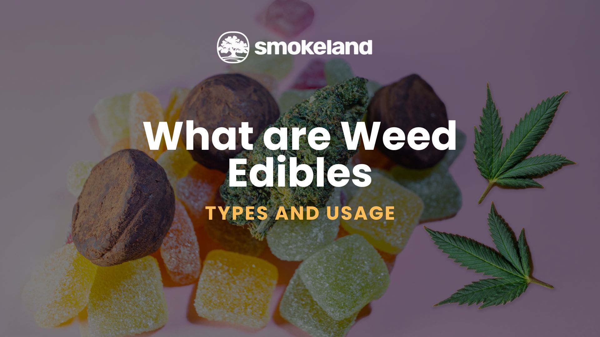 What are Weed Edibles: Types and How to Use Them Safely
