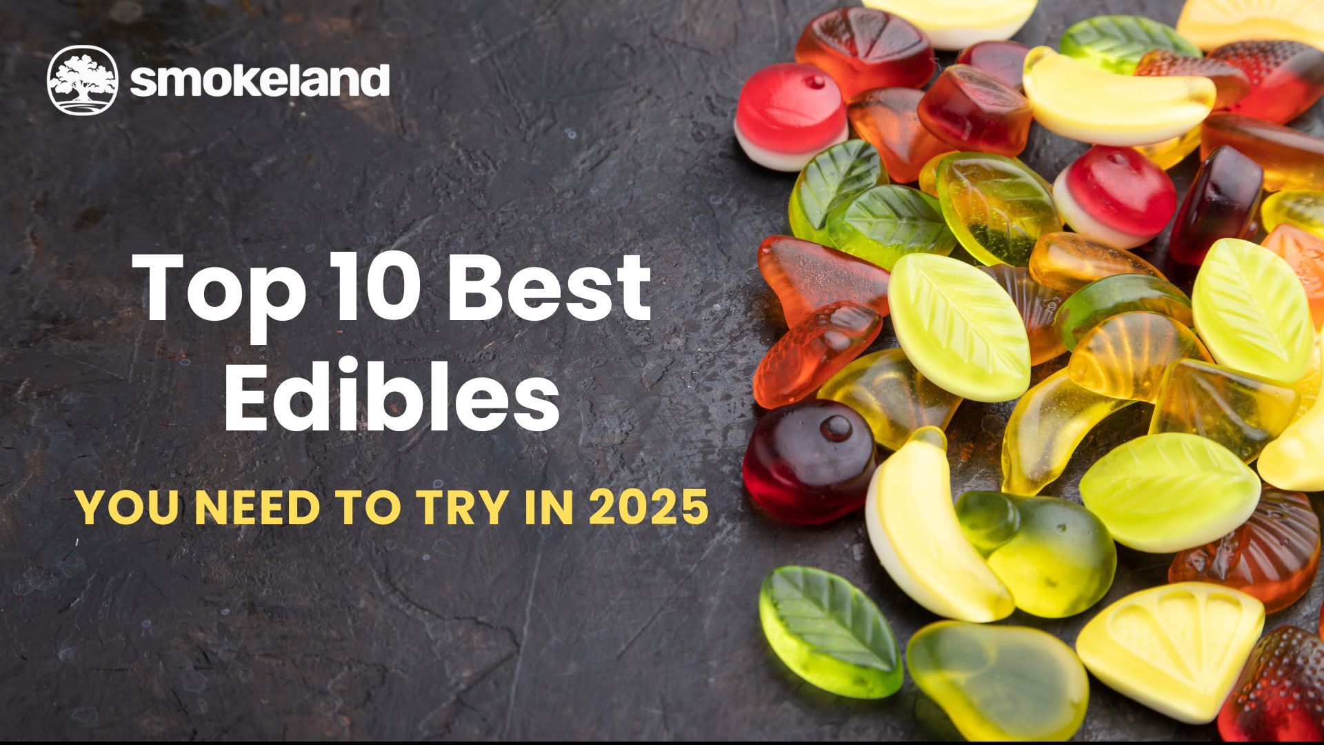 Top 10 Best Edibles You Need to Try in 2025