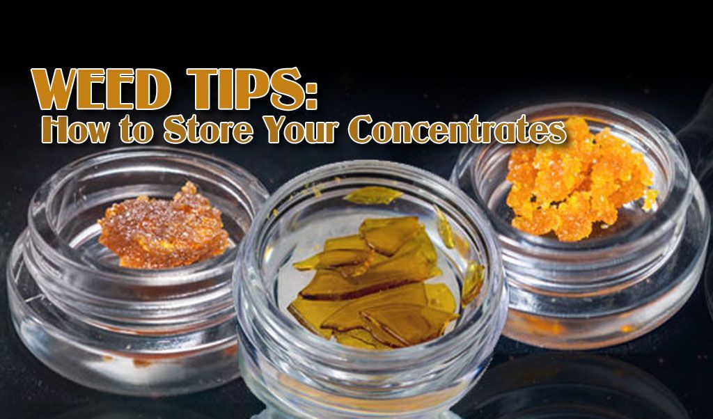 Weed Tips: How to Store Your Concentrates & Extracts