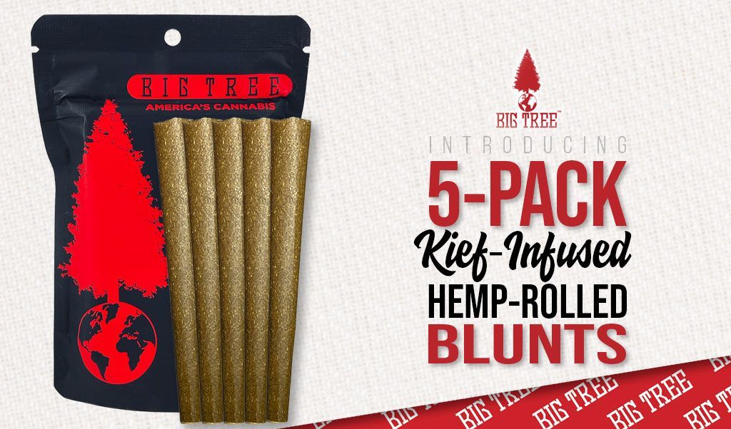 Elevate Your Journey with Big Tree's 30%+ THC Kief-Infused Hemp Blunts!