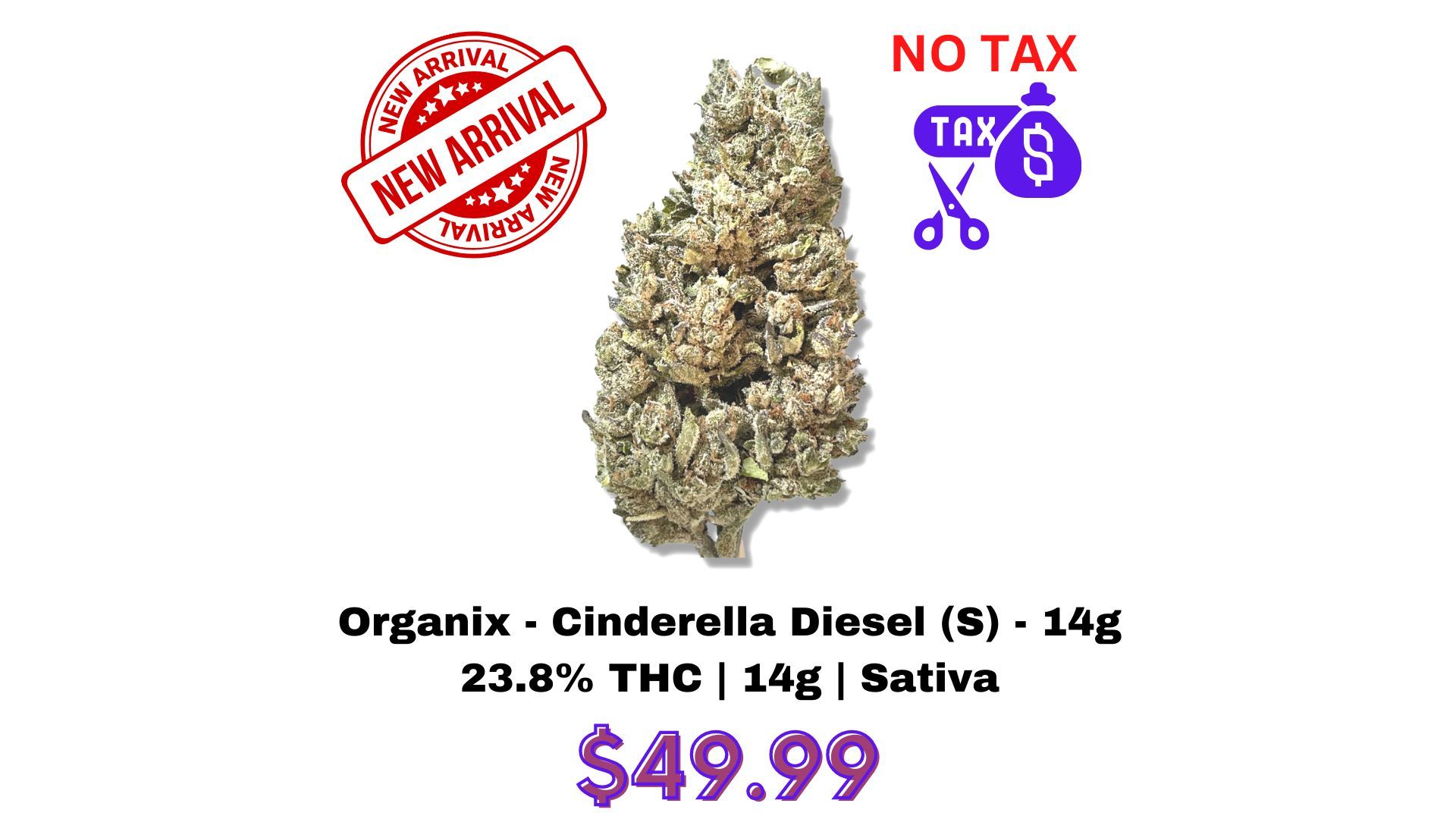New Product Drop - Cinderella Diesel (S) - 14g