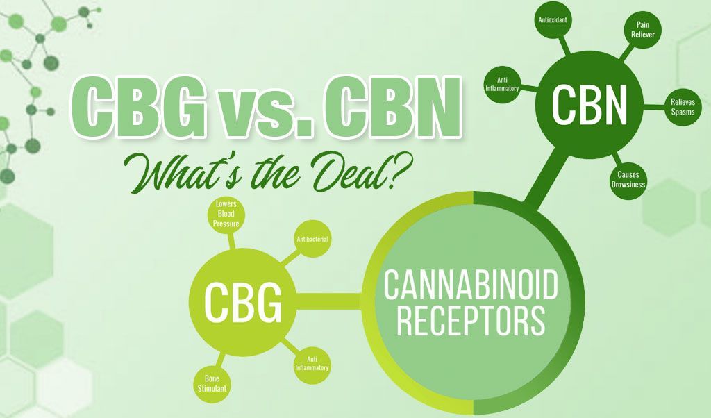 CBG vs CBN: What&rsquo;s the Deal?