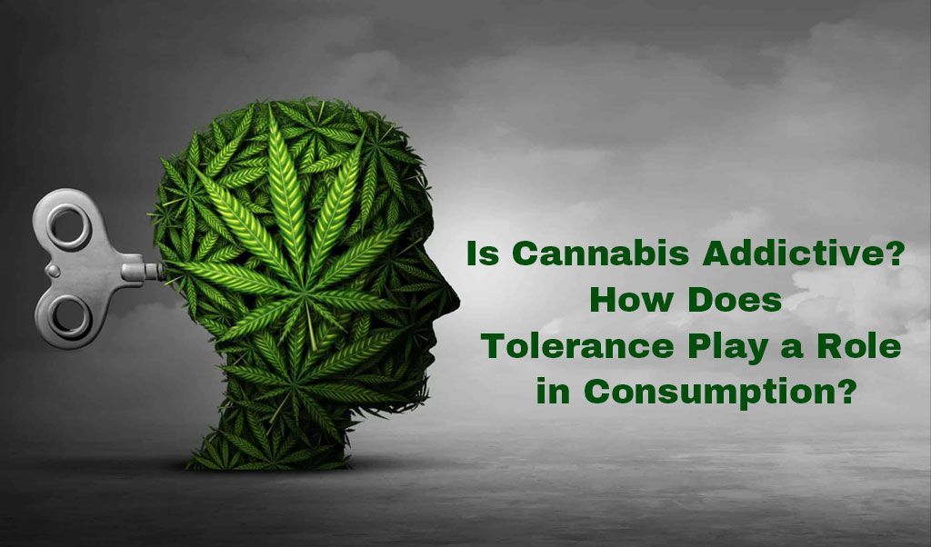 Is Cannabis Addictive? How Does Tolerance Play a Role in Consumption?