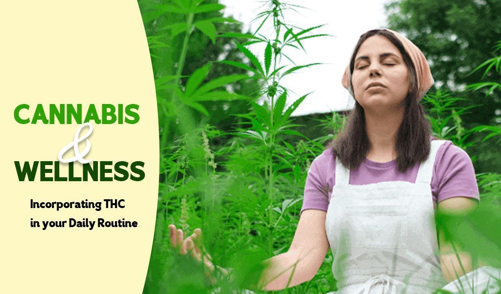 Cannabis and Wellness: Incorporating THC in your Daily Routine