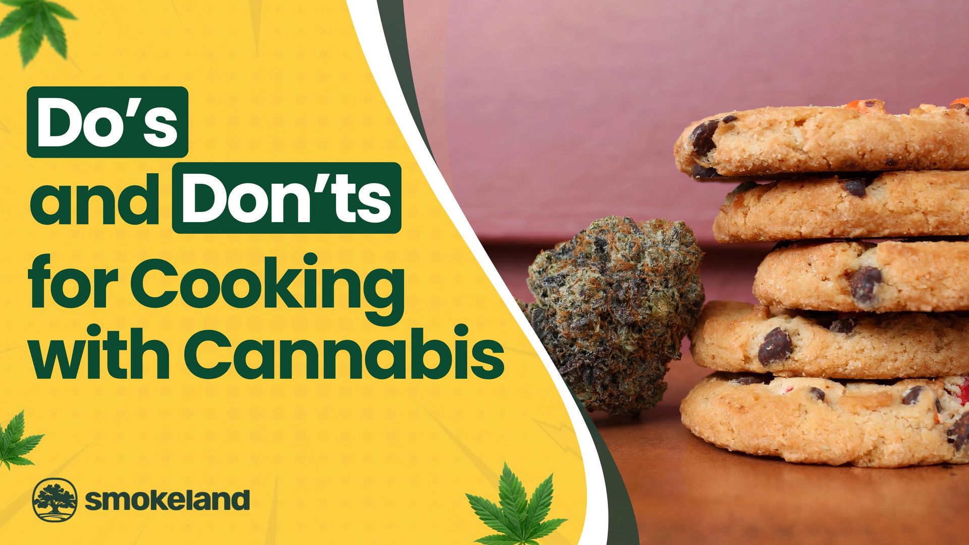 Cooking with Cannabis: Dos and Don&rsquo;ts for DIY Edibles