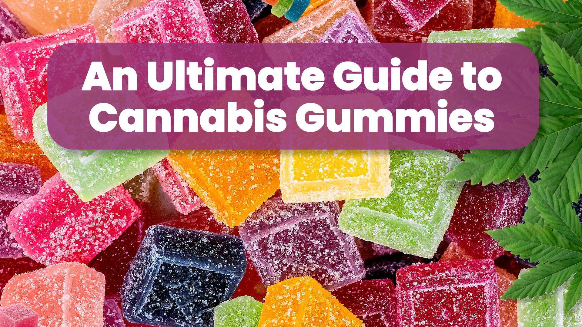 An Ultimate Guide to Cannabis Gummies and Their Effects