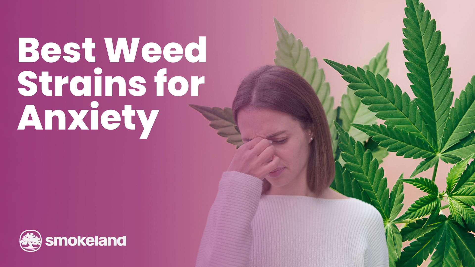 Best Weed strains for anxiety and Focus, and how to choose the right one