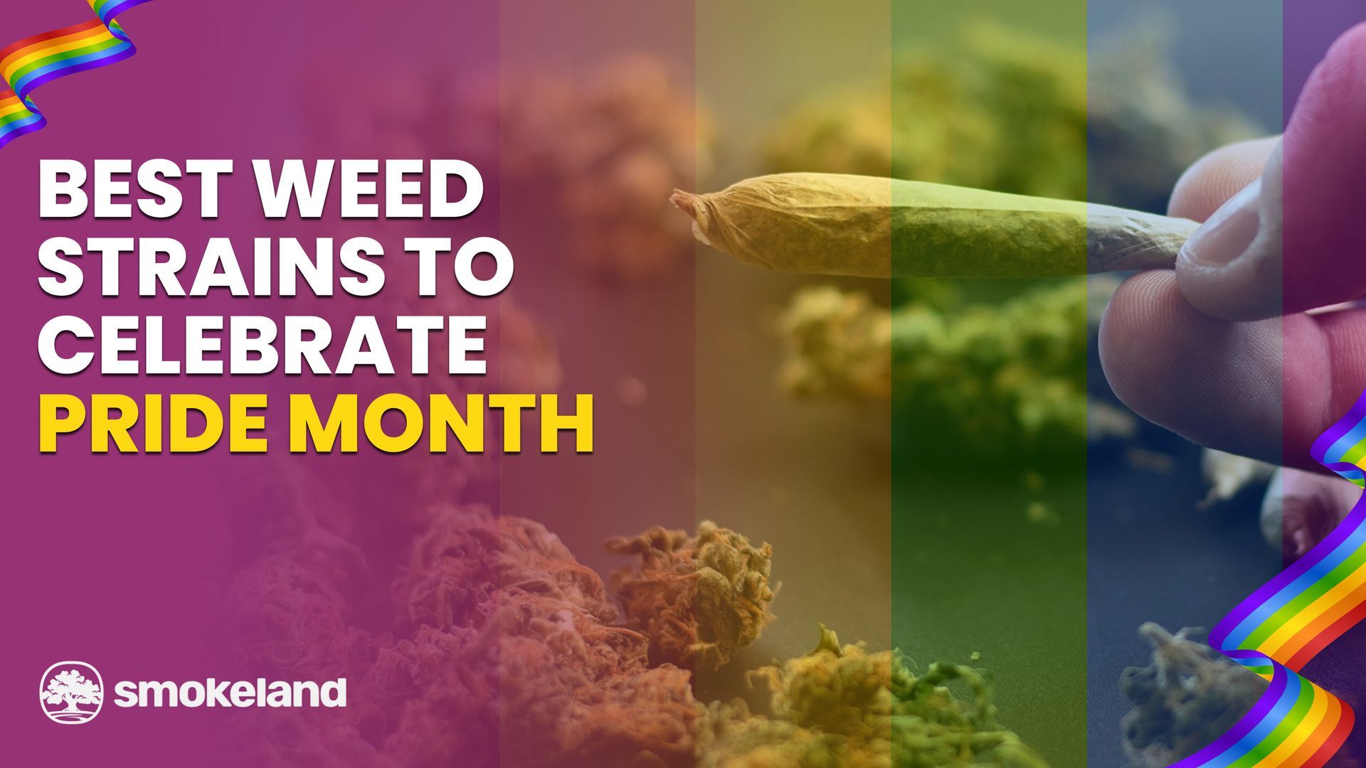 5 Best Weed Strains to Celebrate Pride Month
