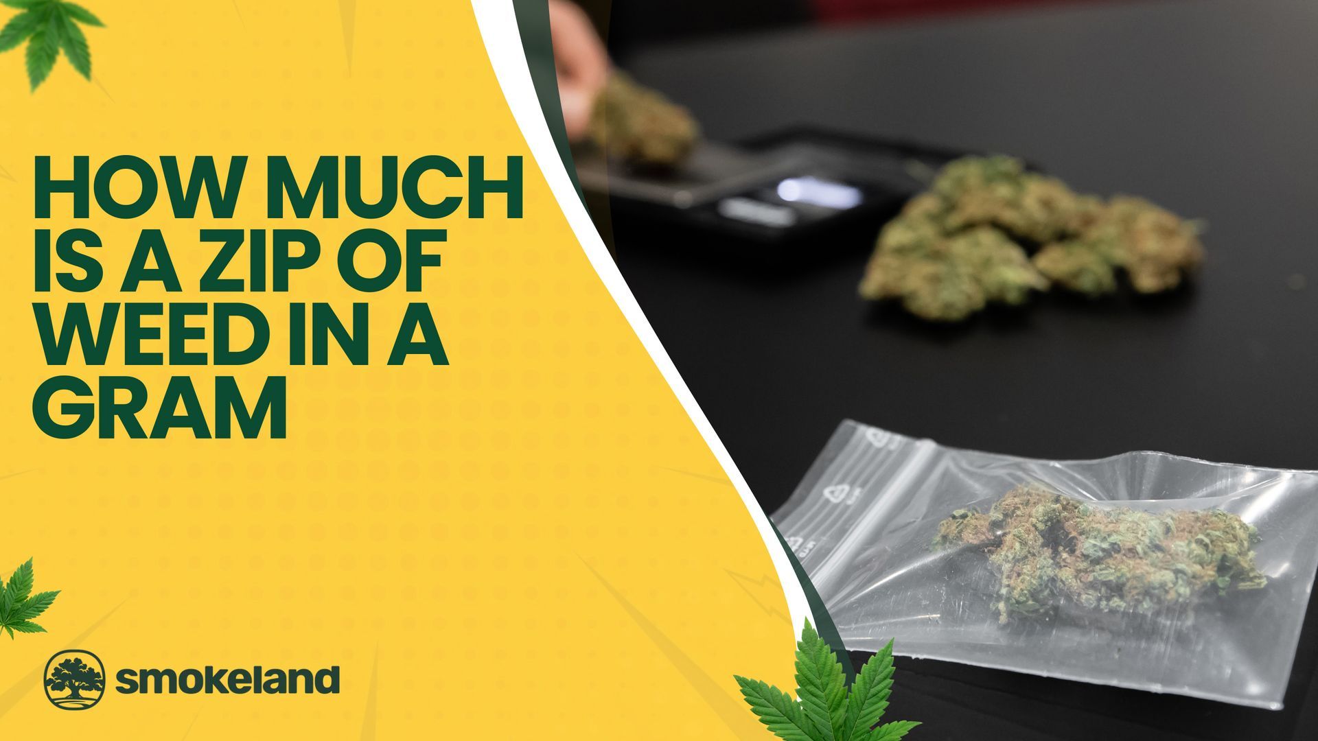 How much is a zip of weed in a gram?