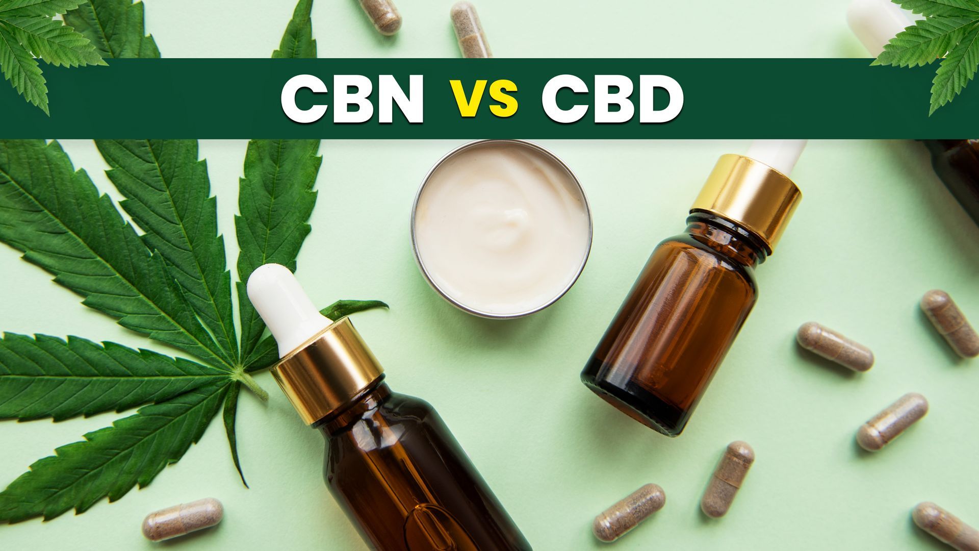 CBN vs CBD: The Ultimate Guide to Their Health Benefits and Uses