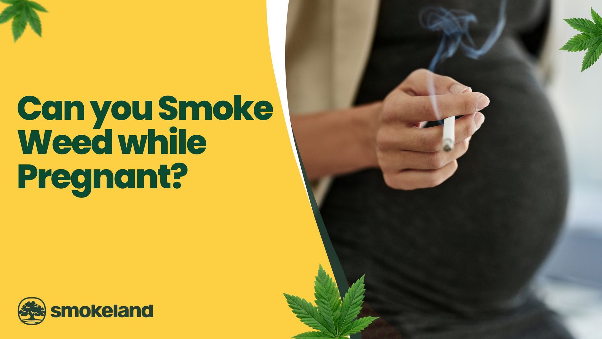 Alternatives to Smoking Weed During Pregnancy: Safer Options for Expecting Moms