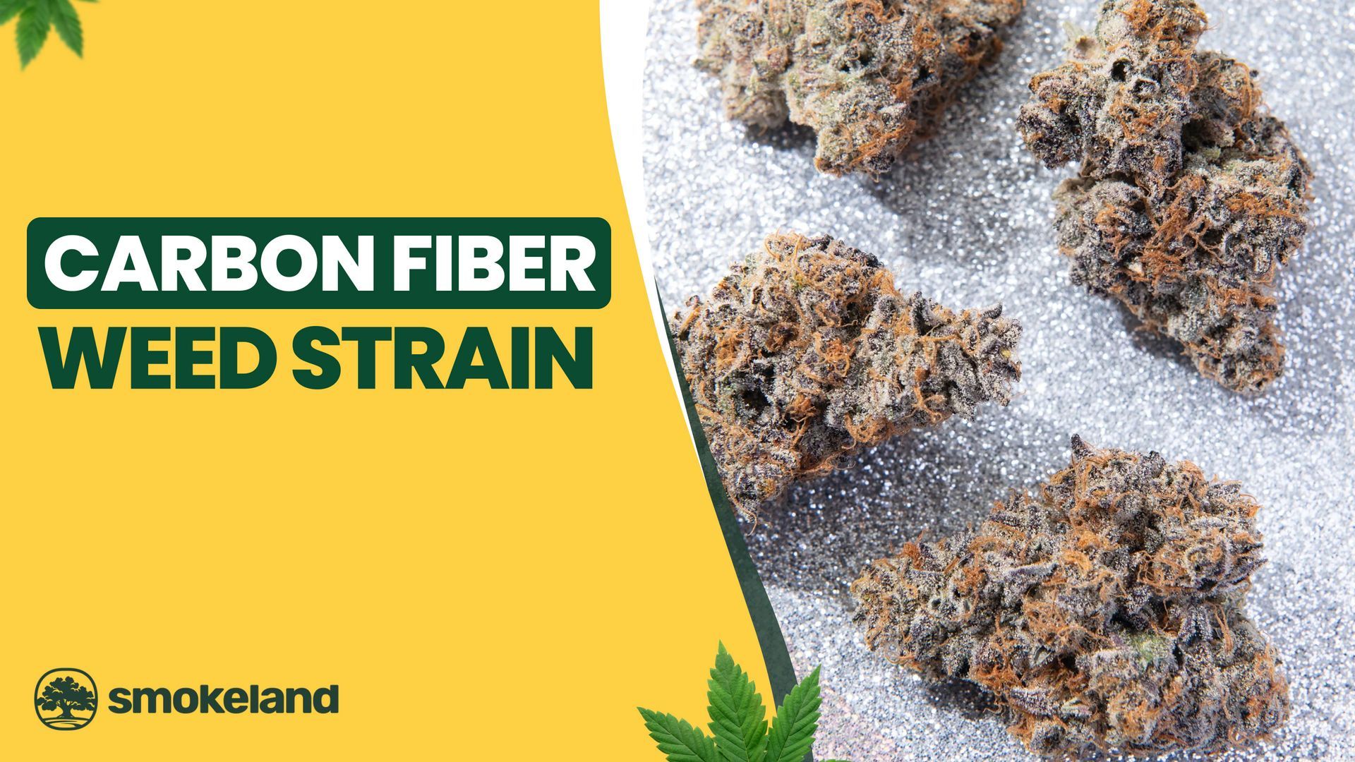 Carbon Fiber Weed Strain: Flavor Profile, THC Level, and Why Smokers Love It