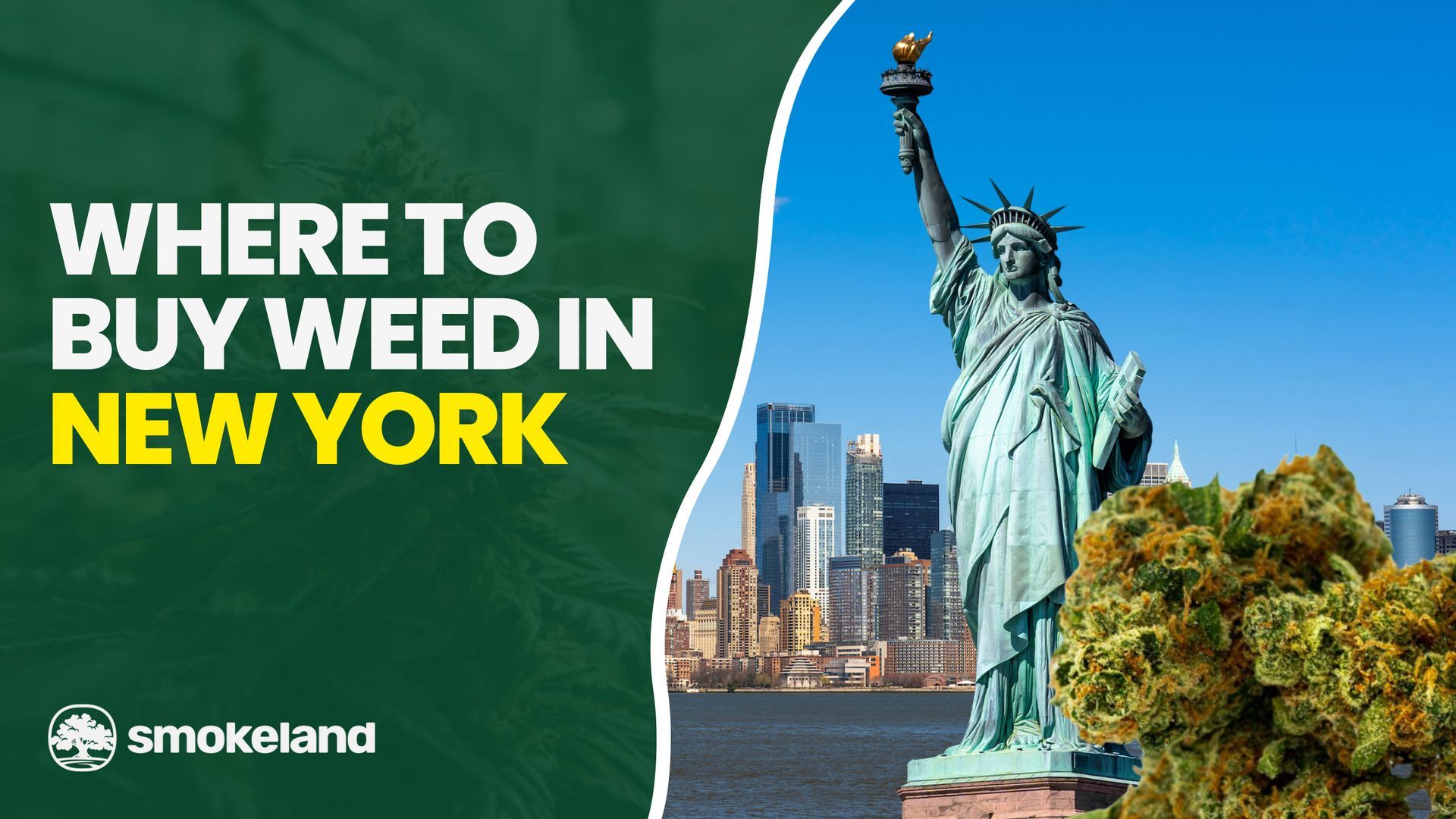 Where to Buy Weed in New York: A Guide to In-Store Shopping