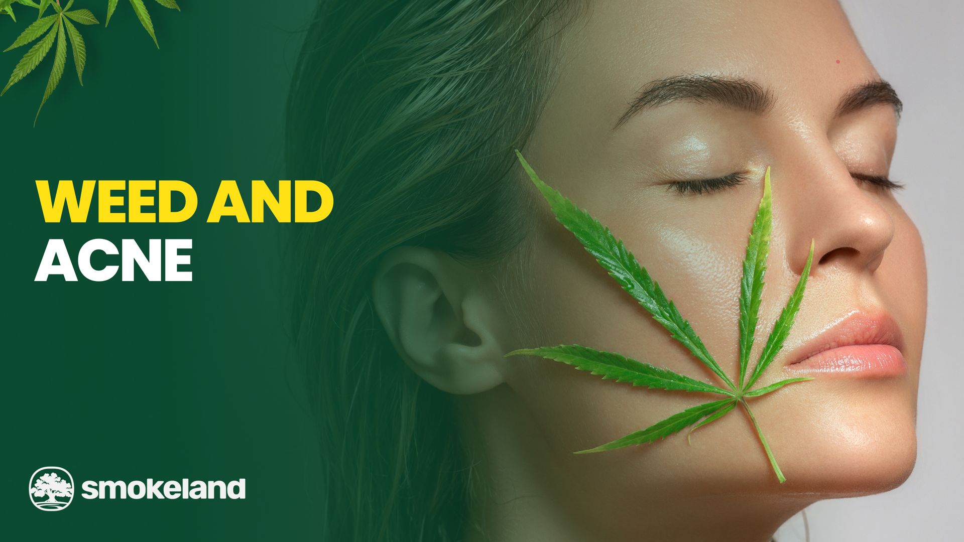Weed and Acne: What Happens to Your Skin When You Smoke?