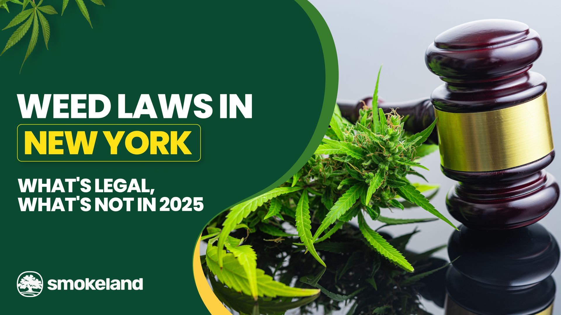 What You Need to Know About the Weed Laws in New York in 2025