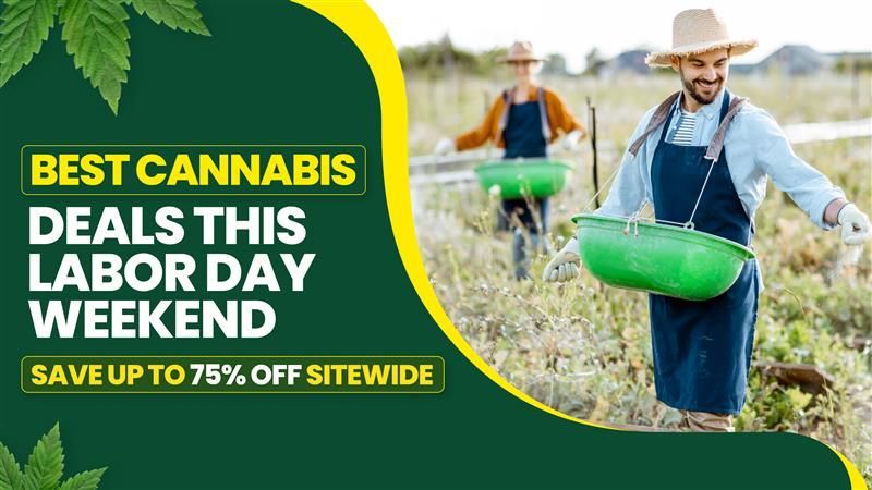 2025 Labor Day Blowout: Best Weed Deals in California