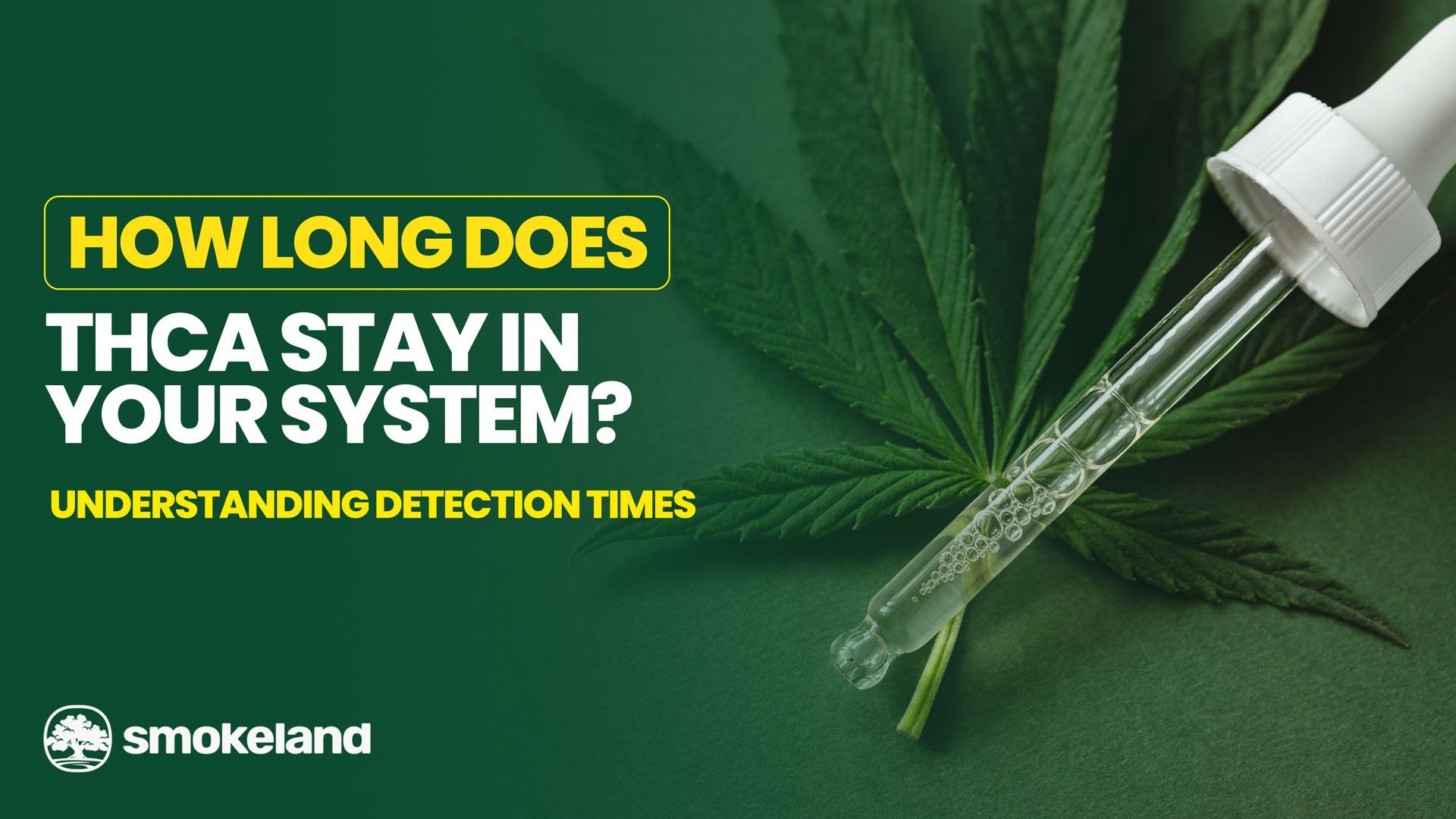 How Long Does THCA Stay in Your System? Understanding Detection Times