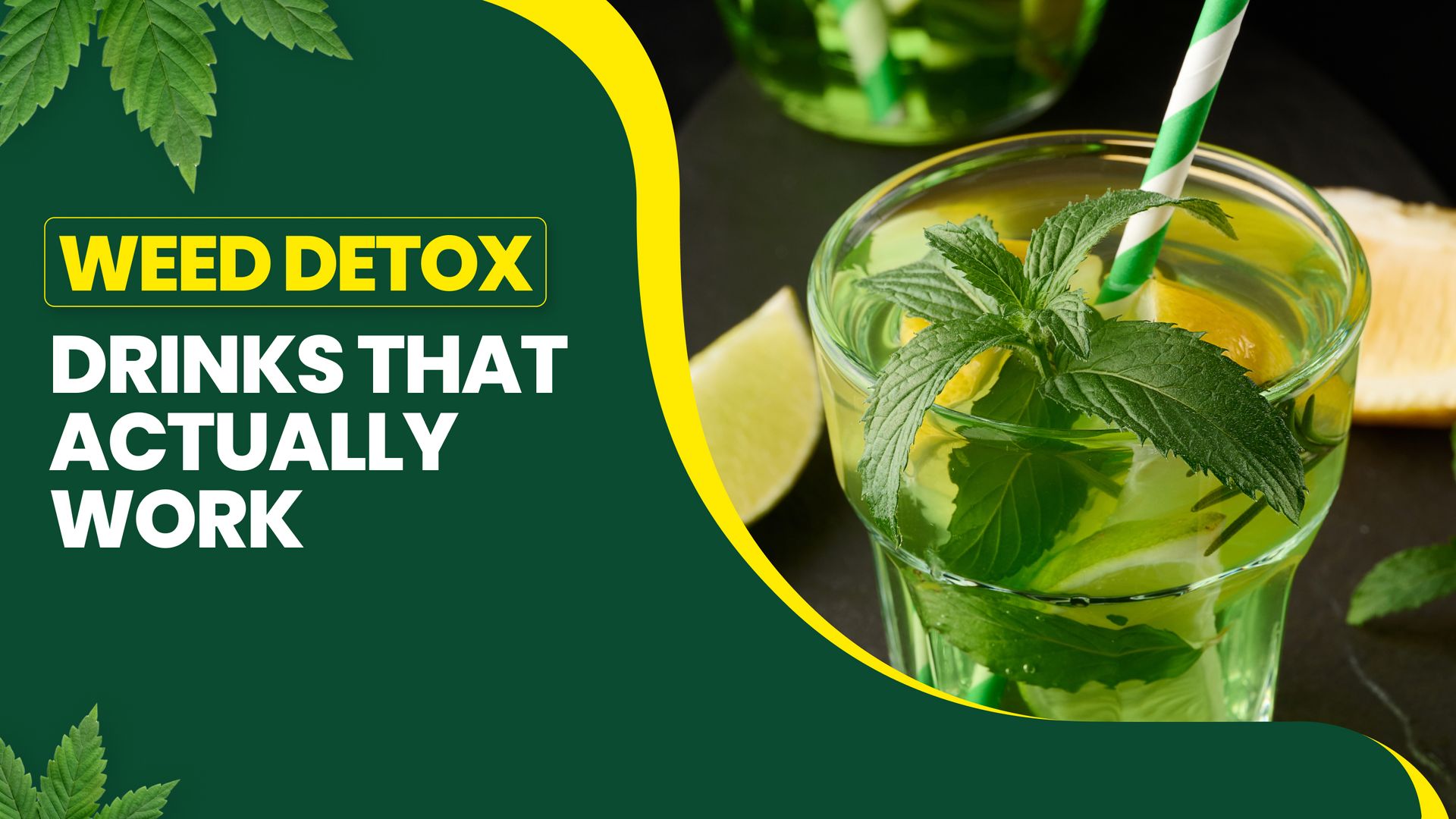 Top 5 Weed Detox Drinks That Actually Work (Fast THC Cleanse)