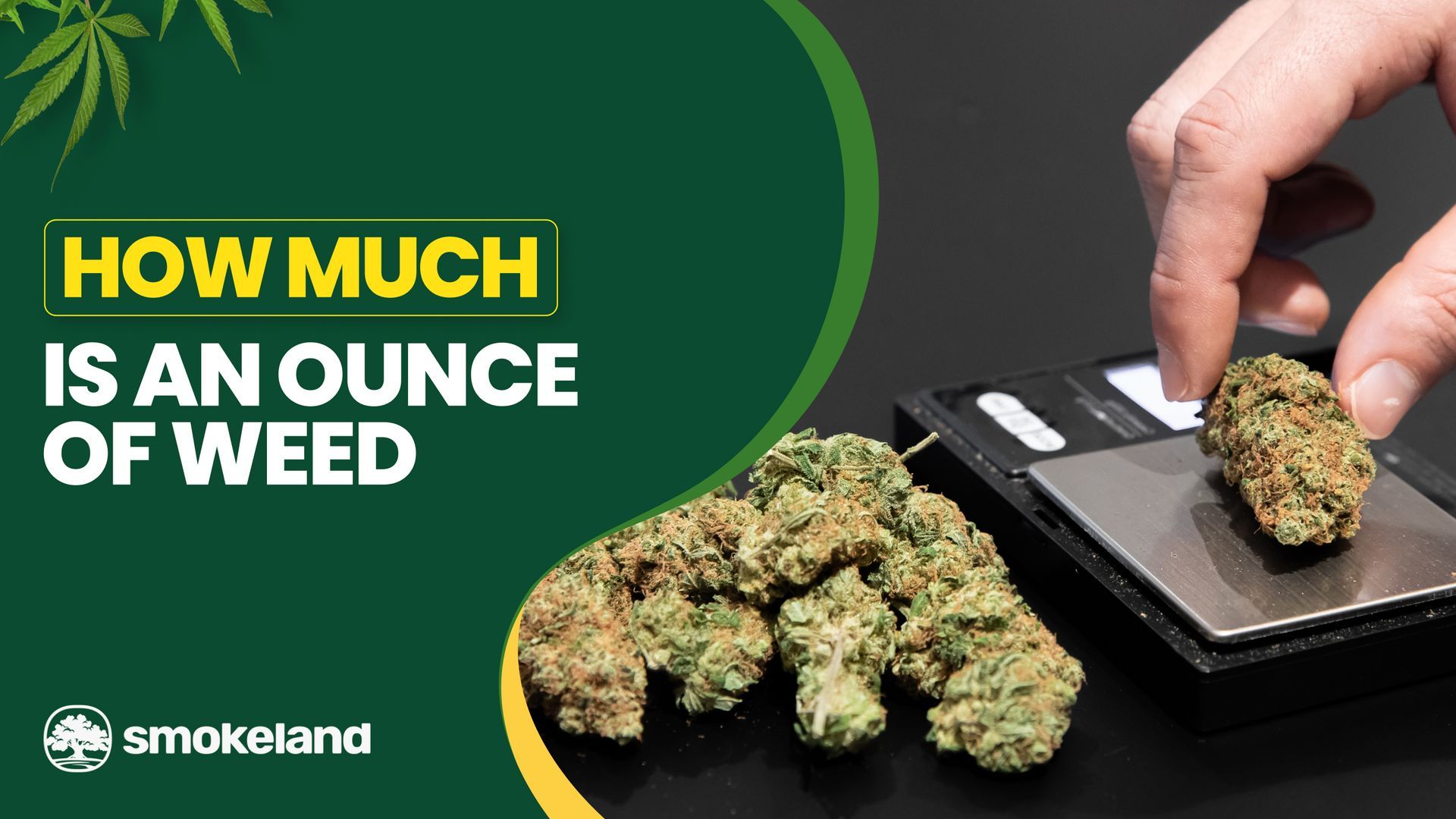 How much is an ounce of weed?