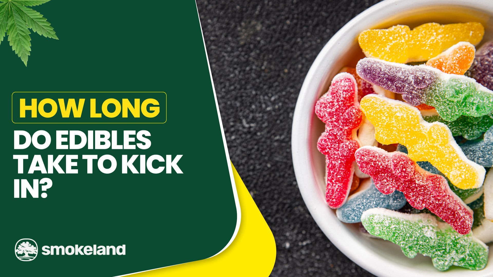 How Long Do Edibles Take to Kick In?