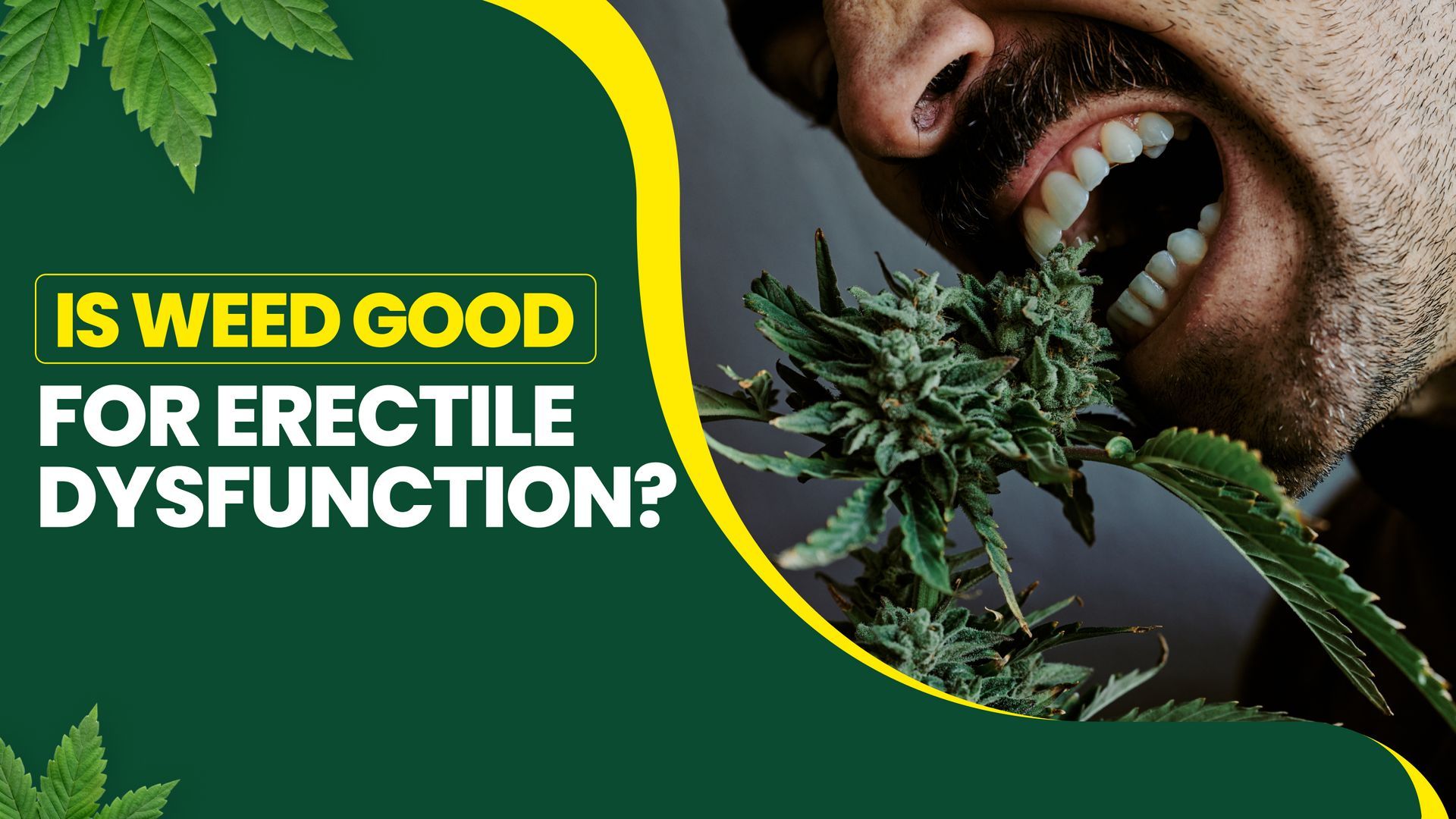 Is Weed Good for Erectile Dysfunction?