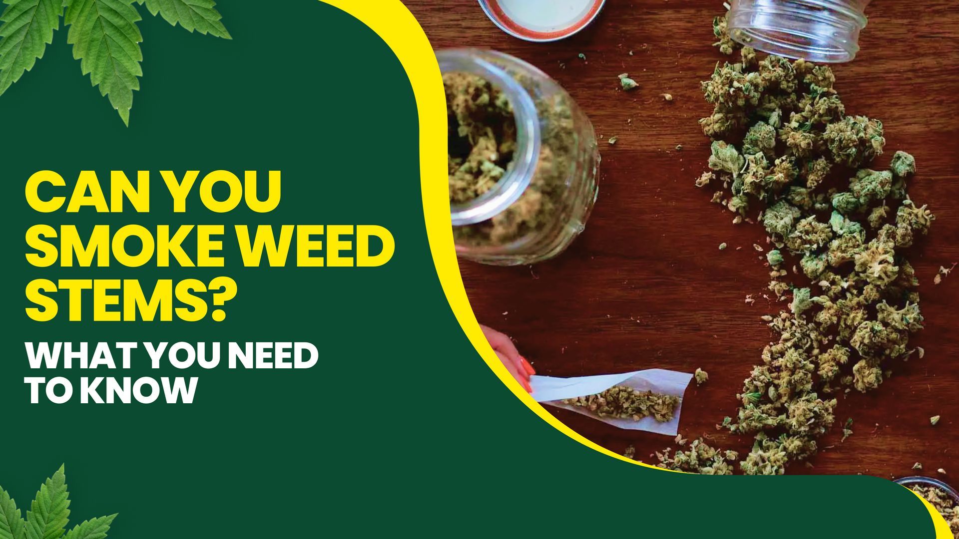 Can you smoke weed stems? What you need to know