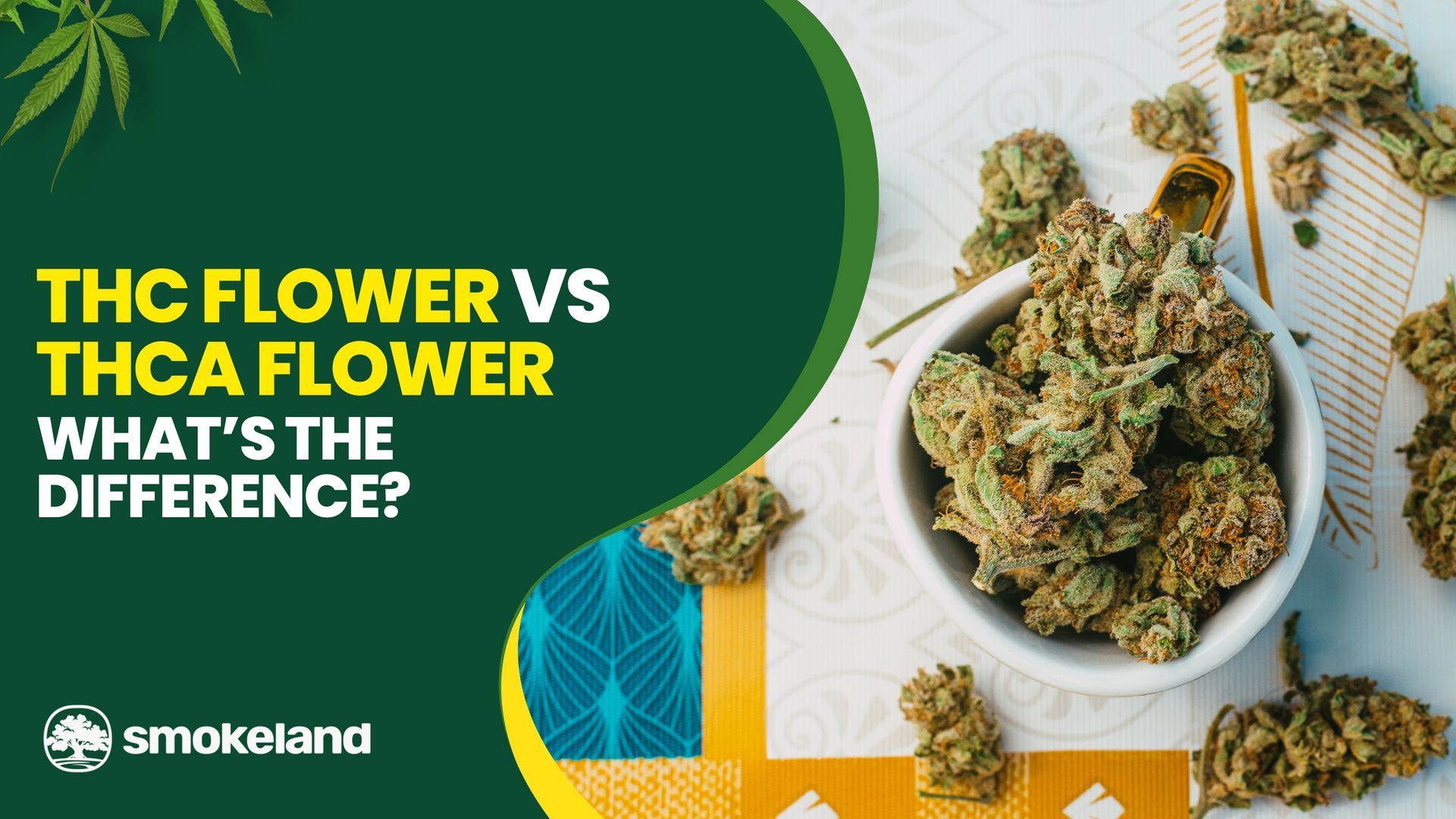 THC Flower vs THCA Flower: What&rsquo;s the Difference?