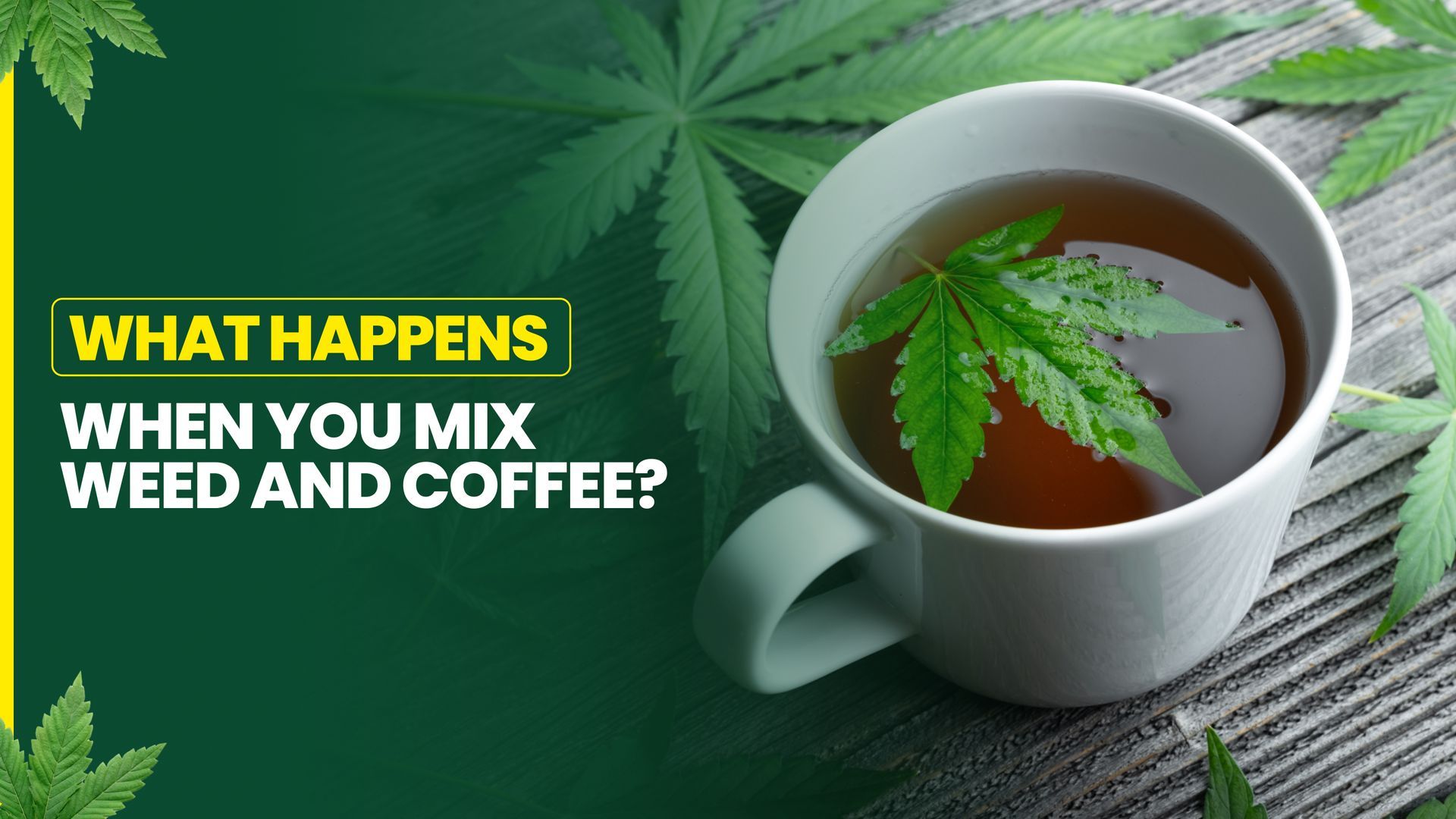 What Happens When You Mix Weed and Coffee?