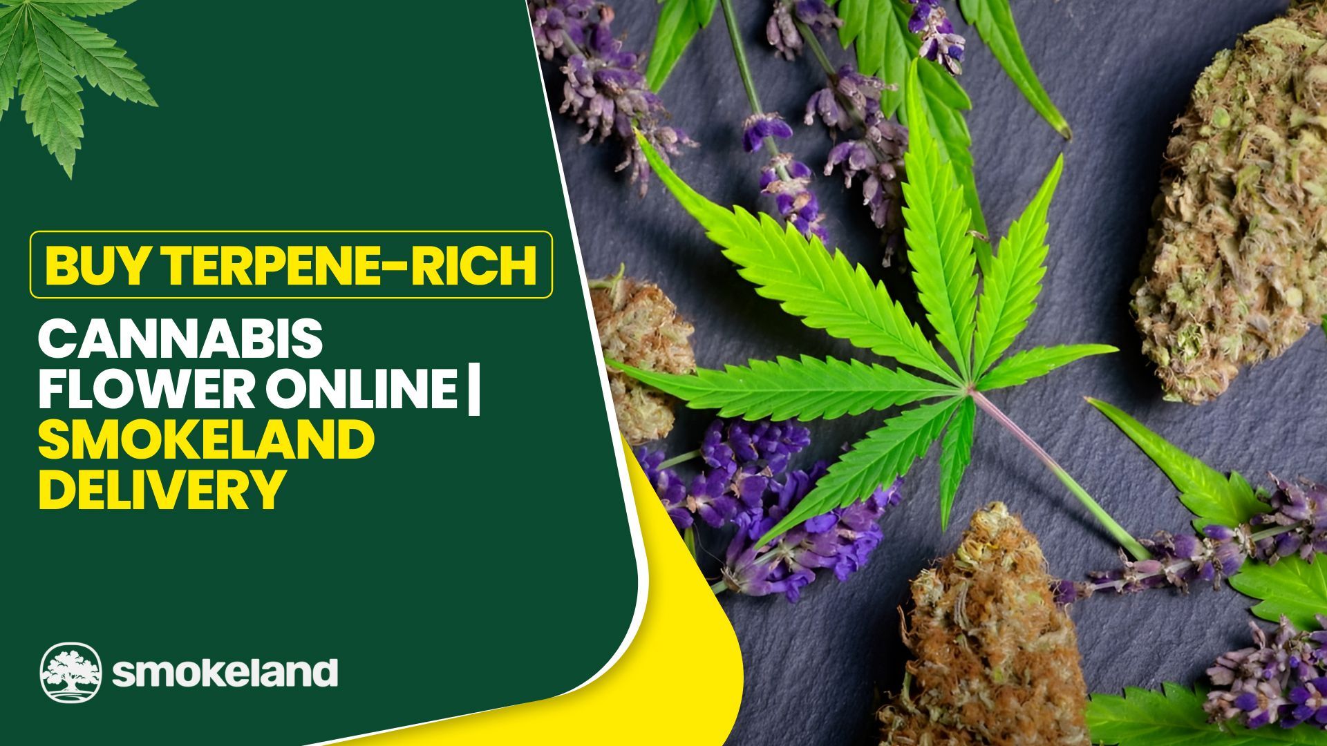 Buy Terpene-Rich Cannabis Flower Online | Smoakland Delivery