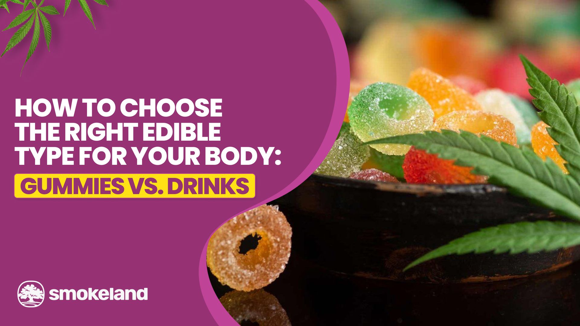 How to Choose the Right Edible Type for Your Body: Gummies vs. Drinks