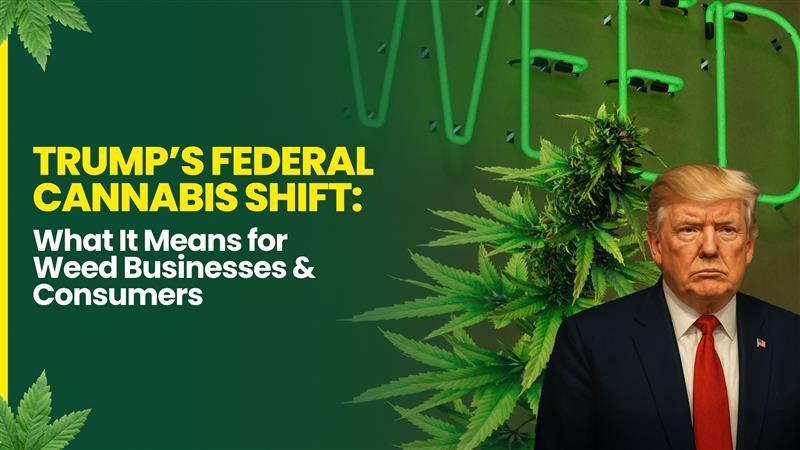 Trump&rsquo;s Cannabis Policy Shift in 2025: What It Means for the Marijuana Industry
