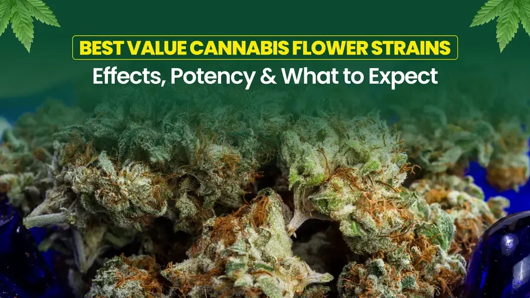 Best Value Cannabis Flower Strains: Effects, Potency & What to Expect