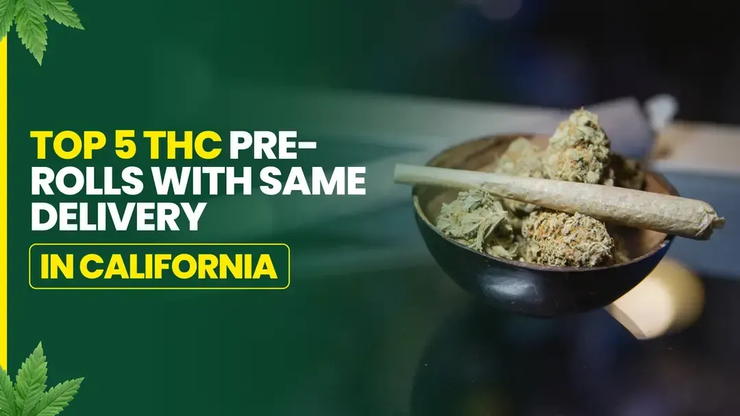 Top 5 THC Pre-Rolls with Same-Day Delivery in California