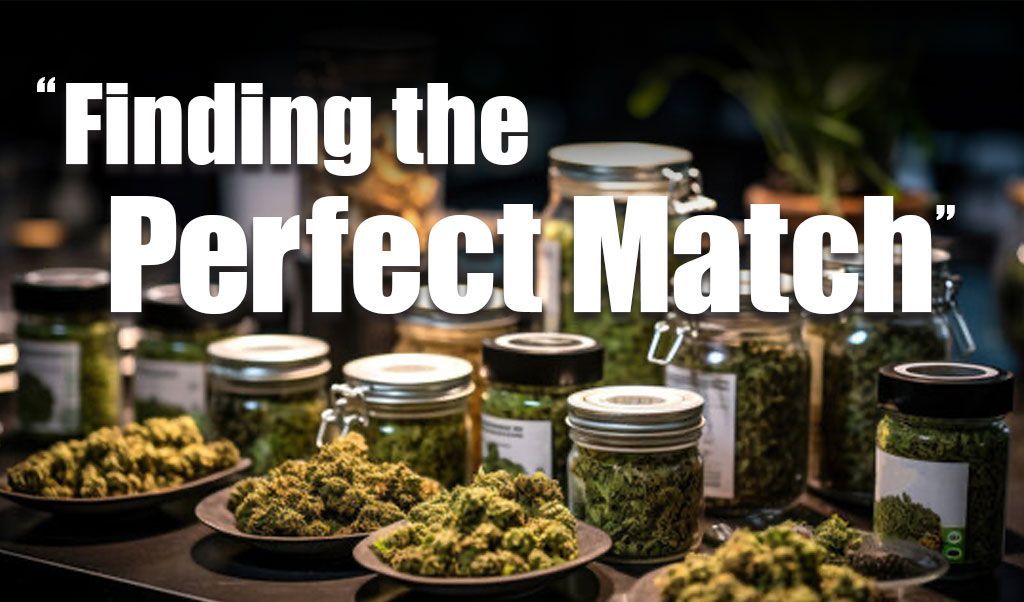 The Ultimate Guide to Cannabis Strains: Finding the Perfect Match