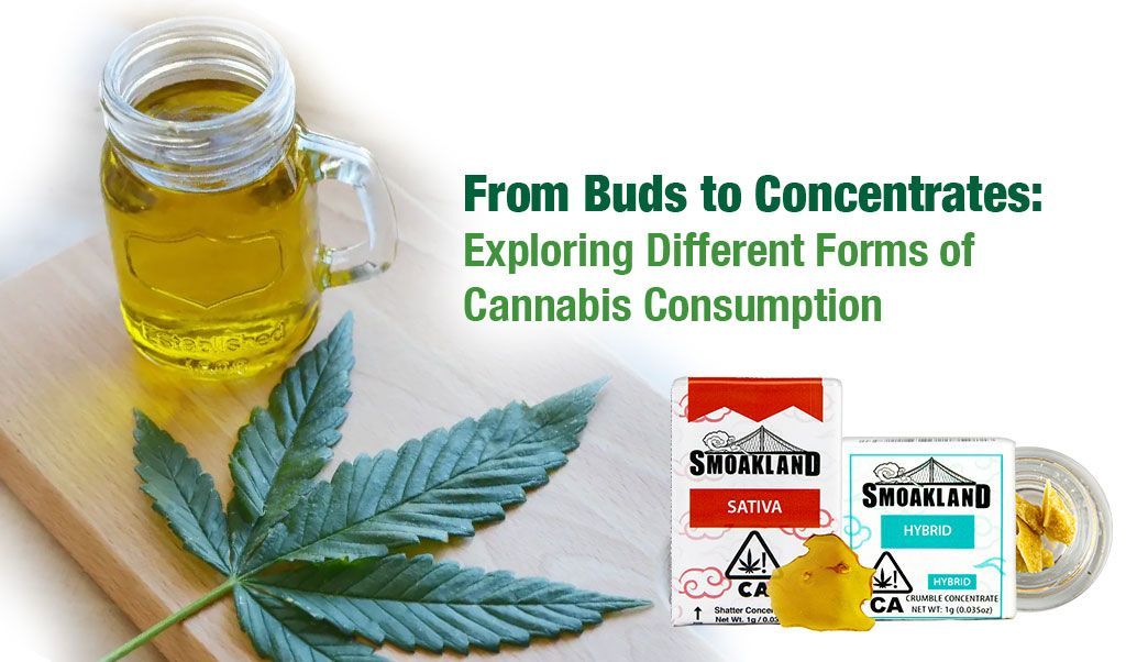 From Buds to Concentrates: Exploring Different Forms of Cannabis Consumption