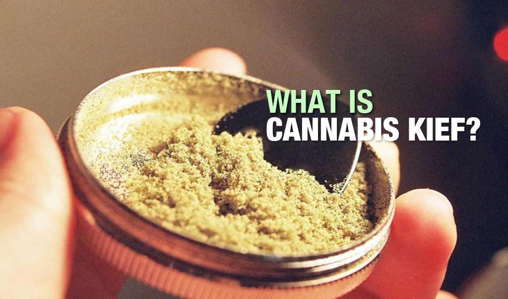 What is Cannabis Kief & How to use Kief?