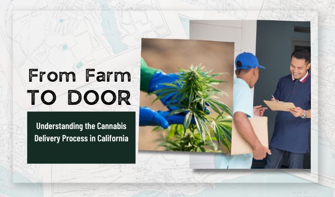From Farm to Door: Understanding the Cannabis Delivery Process in California