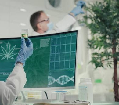 Exploring Premium Cannabis Strains in Northern California: Smokeland's Selection