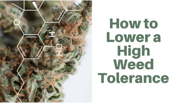 How to Lower a High Weed Tolerance